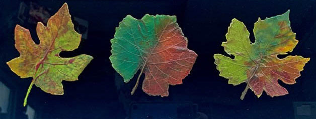 Trilogie des Vins classiques